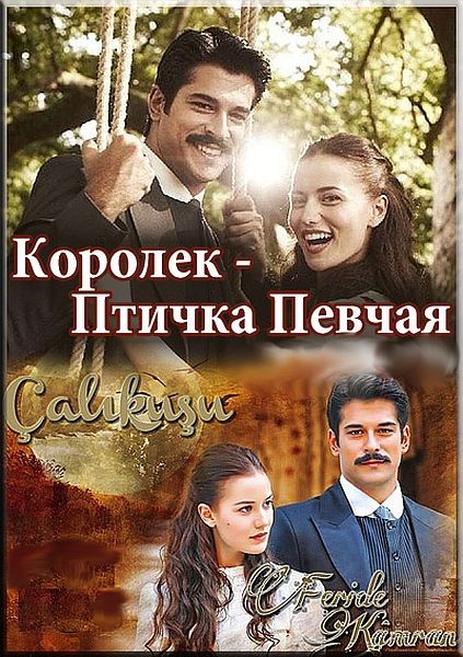 Сериал Королек - птичка певчая